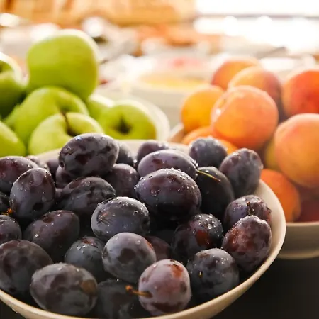 Lejlighedshotel Budimlija Loznica