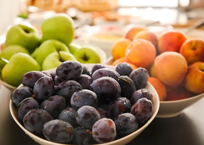 Aparthotel Budimlija Loznica